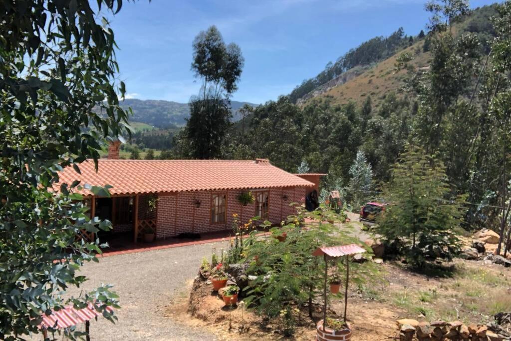Cabana Buenavista Es Un Lugar Para Descansar. Iza Extérieur photo